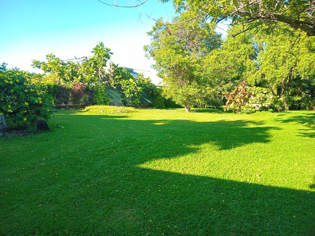Land in Puna'auia, Windward Islands, French Polynesia 3 - 15410162