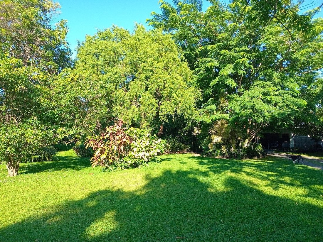 Land in Puna'auia, Windward Islands, French Polynesia 4 - 15410162
