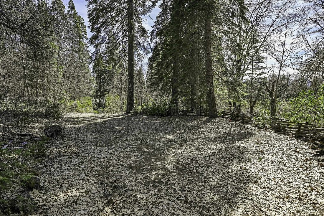 Mount Shasta, California, United States 4 - 15416104