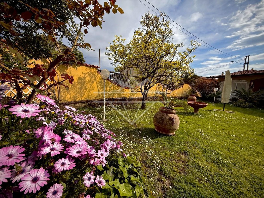 Villa in Fontia-Fossola-Fossone, Marina di Carrara, Tuscany 4 - 15414455