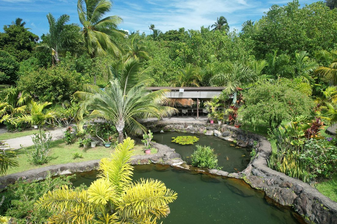 House in Paparā, Windward Islands, French Polynesia 2 - 15414395