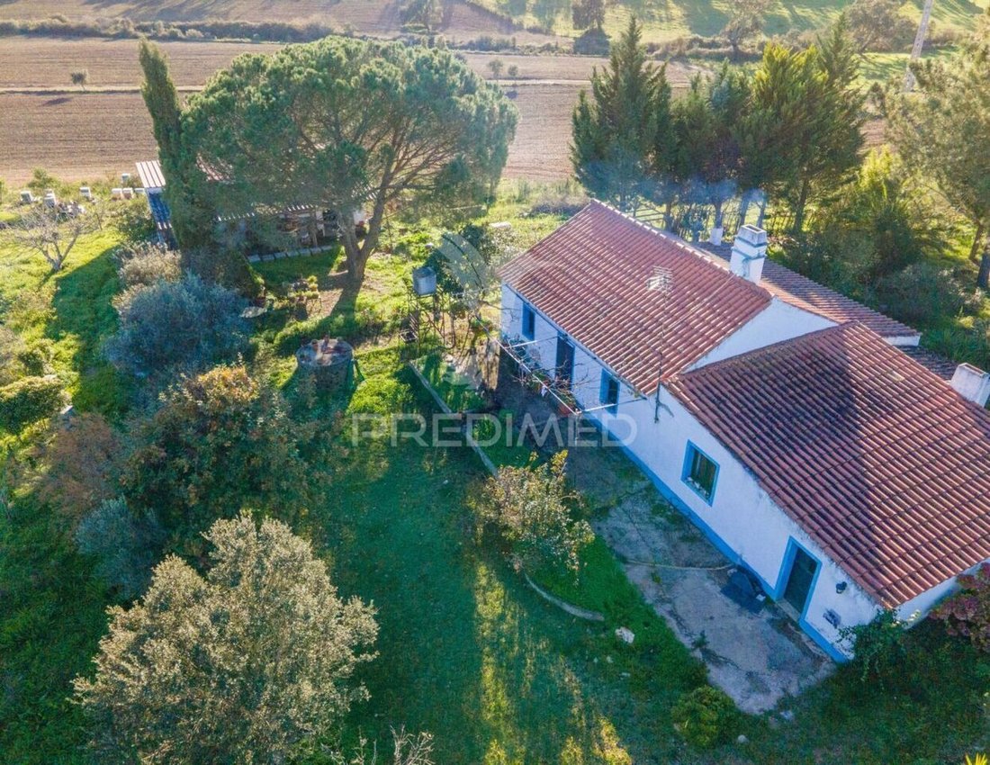 Farm Ranch in Sao Domingos e Vale de Agua, Setubal, Portugal 5 - 15417226