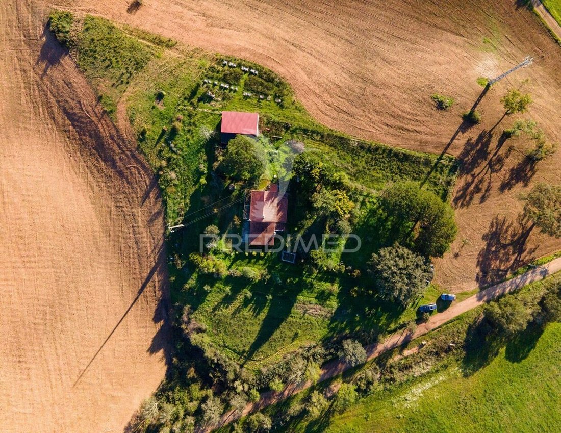 Farm Ranch in Sao Domingos e Vale de Agua, Setubal, Portugal 2 - 15417226