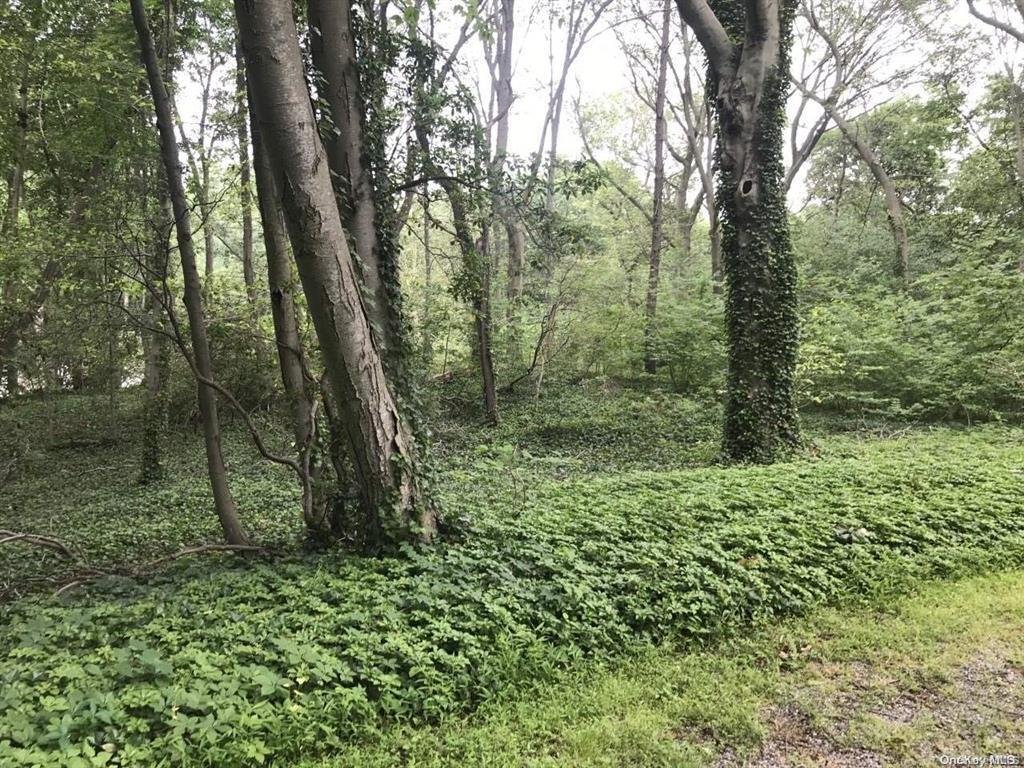 Land in Locust Valley, New York, United States 5 - 15386827