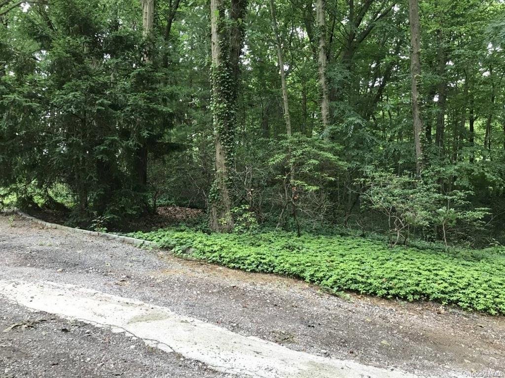 Land in Locust Valley, New York, United States 3 - 15386827