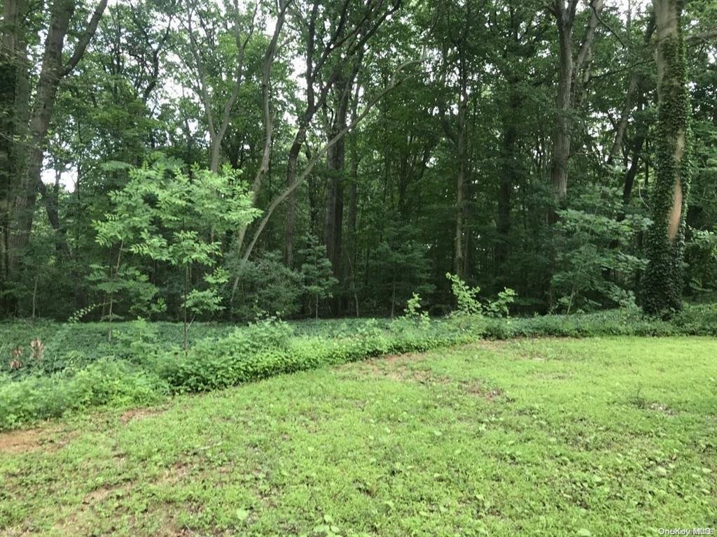 Land in Locust Valley, New York, United States 2 - 15386827