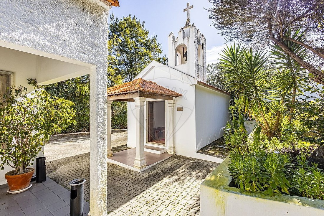 Finca in Vale da Pedra, Distrikt Santarém, Portugal 4 - 15417061