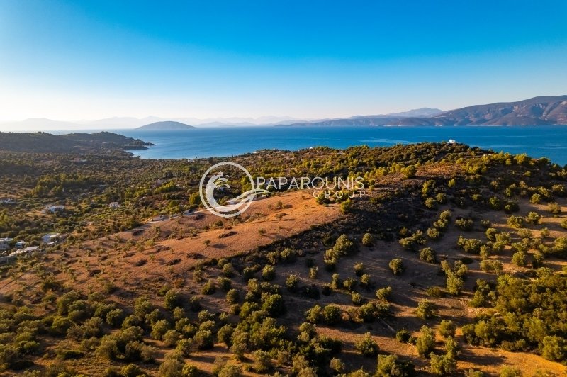 Land in Koinotita Kranidiou, Kranidi, Greece 1 - 15417834