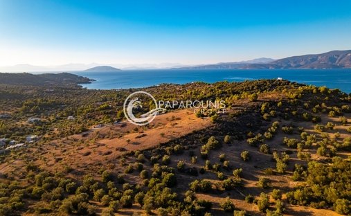 Land in Koinotita Kranidiou, Kranidi, Greece 1