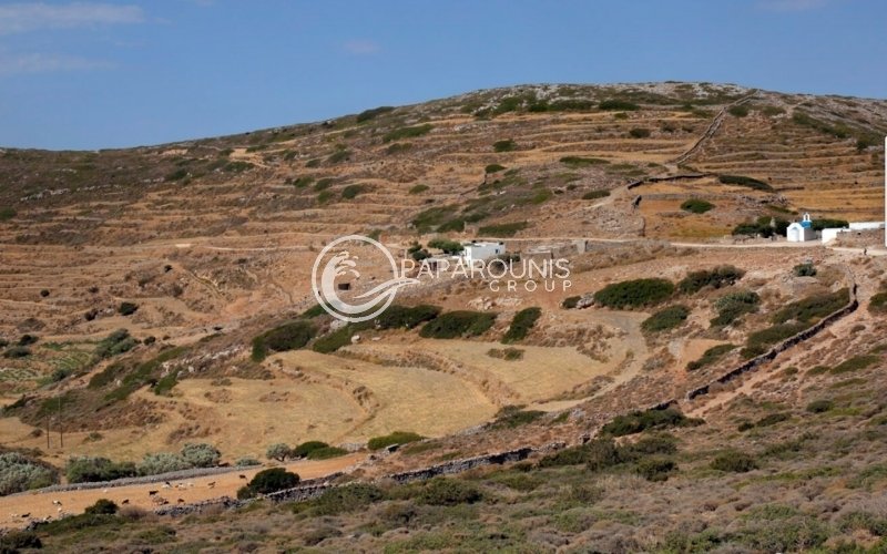 Land in Paros, Aegean, Greece 4 - 15417843