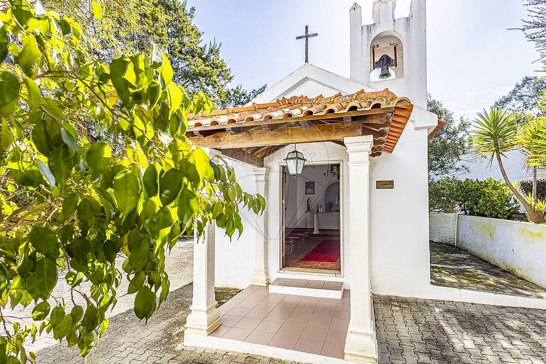 Finca in Vale da Pedra, Distrikt Santarém, Portugal 5 - 15417061