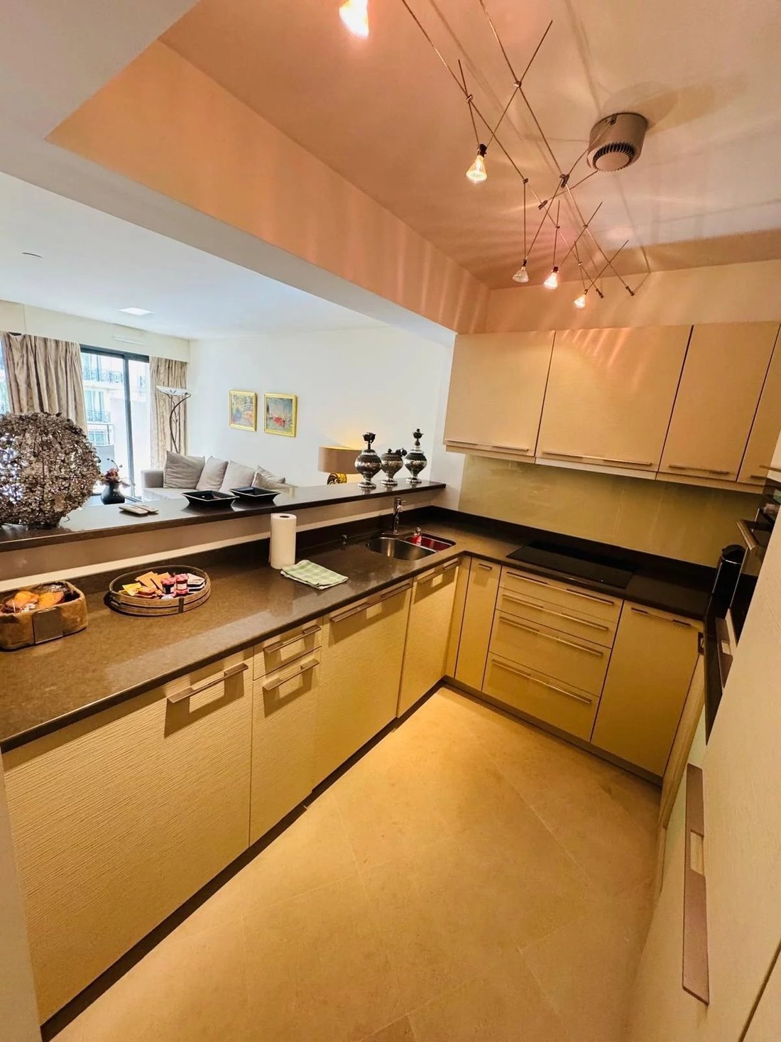 Apartment in French Riviera, Provence-Alpes-Côte d'Azur, France 3 - 14240561