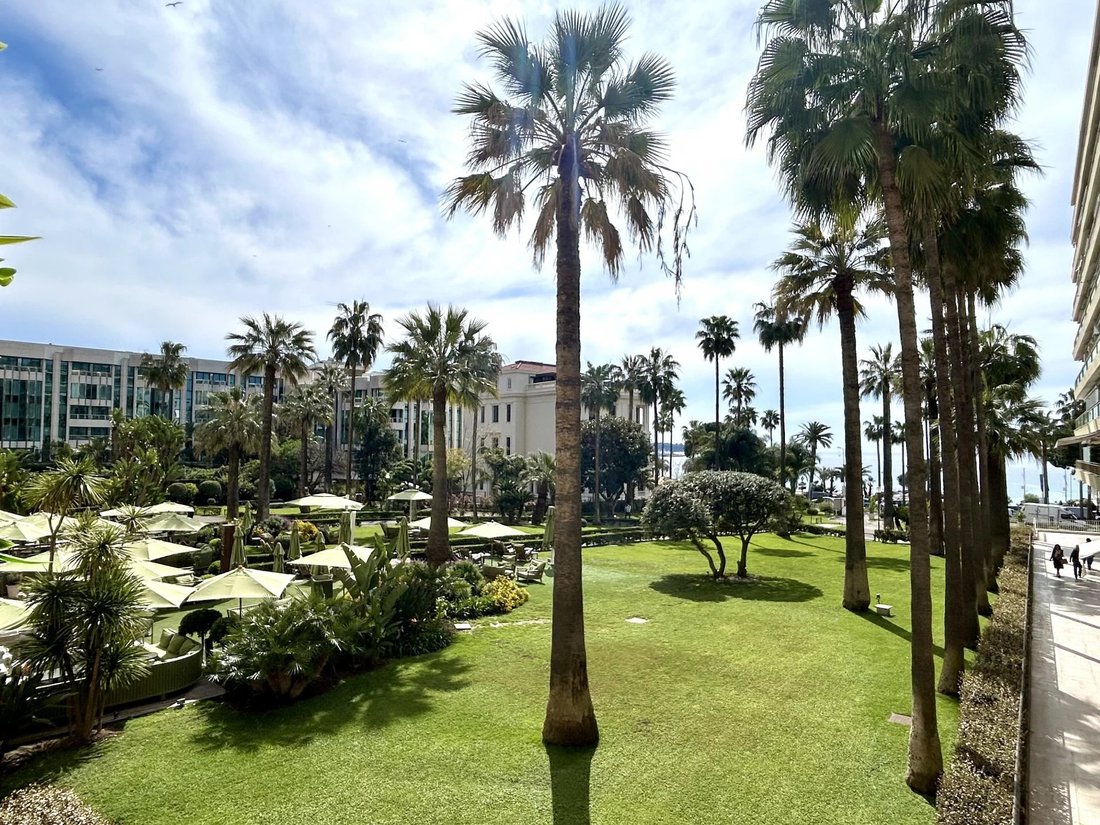 Apartment in Cannes, Provence-Alpes-Côte d'Azur, France 2 - 15420401