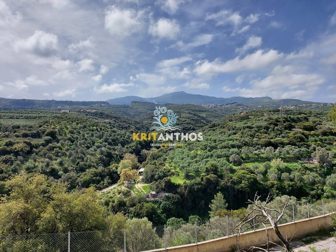 Land in Kreta, Griechenland 5 - 15420503