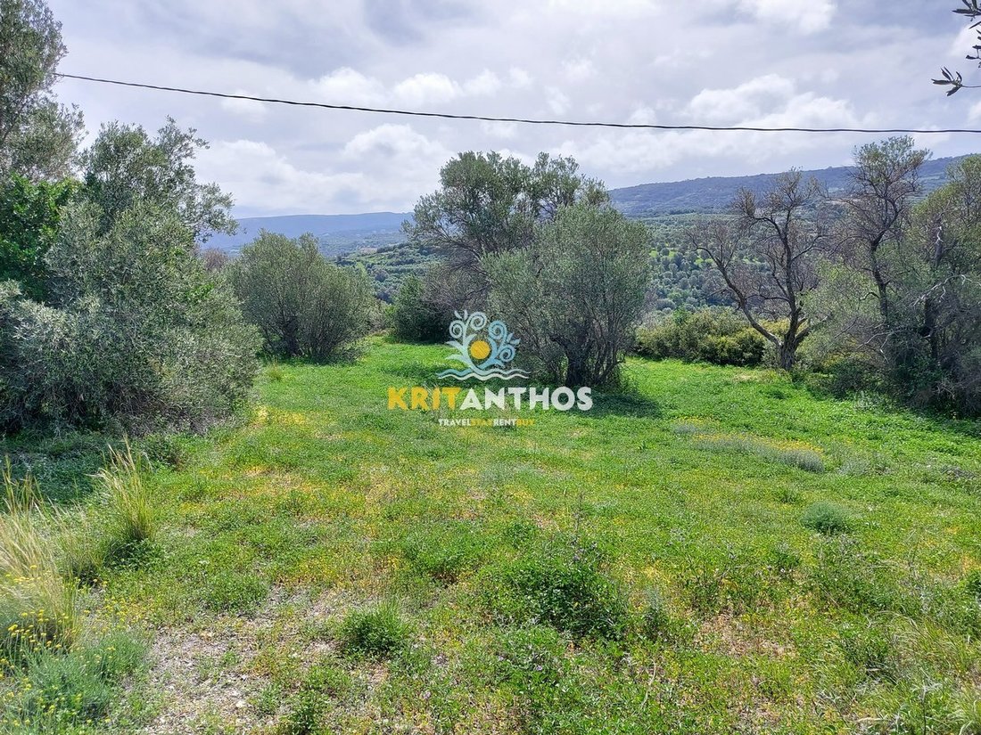 Land in Kreta, Griechenland 4 - 15420503