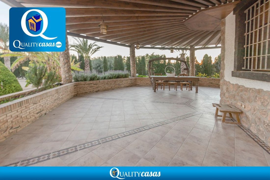 Villa in Elx / Elche, Valencian Community, Spain 3 - 15422335
