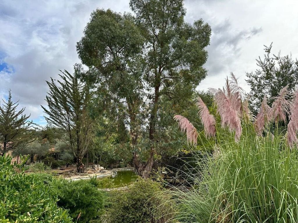 Country House in Archidona, Andalusia, Spain 3 - 15422527
