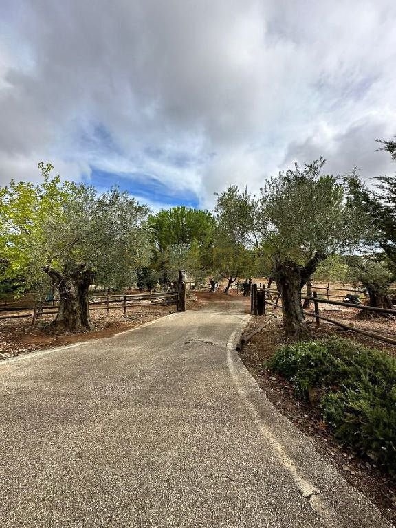 Country House in Archidona, Andalusia, Spain 5 - 15422527