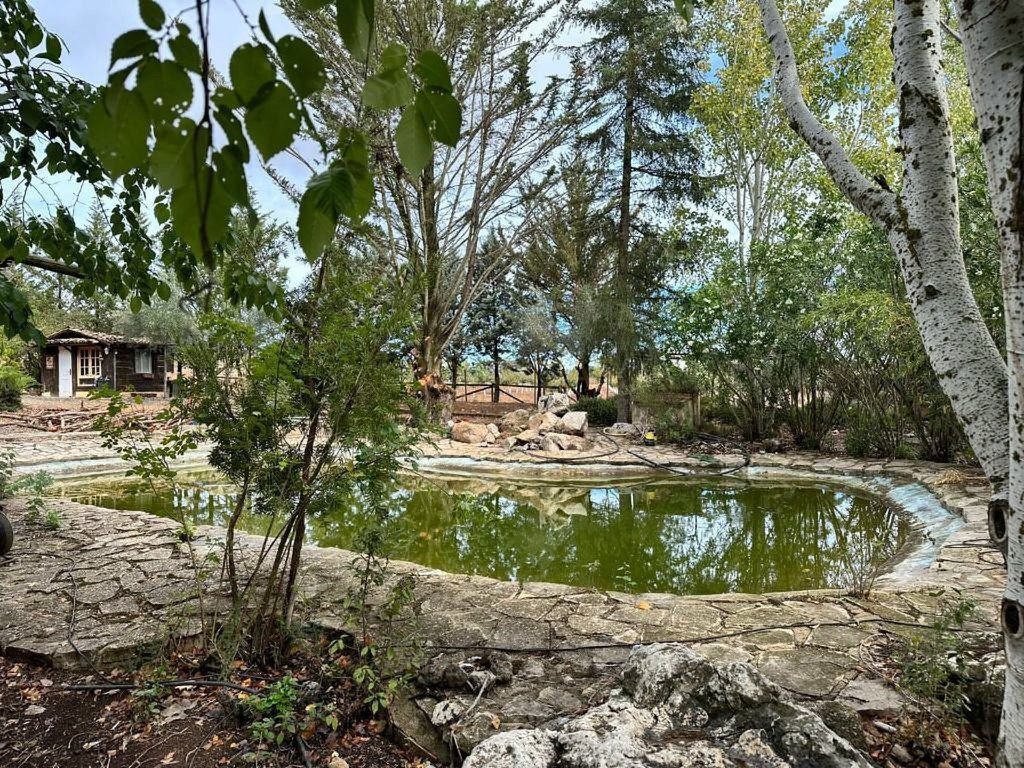 Country House in Archidona, Andalusia, Spain 4 - 15422527