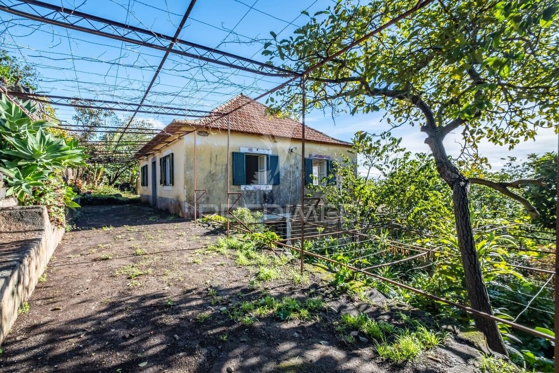 Haus in Gaula, Autonome Region Madeira, Portugal 3 - 15115072