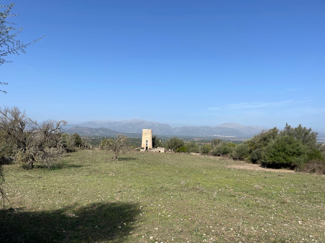 Land in Llubi, Balearic Islands, Spain 3 - 15421282