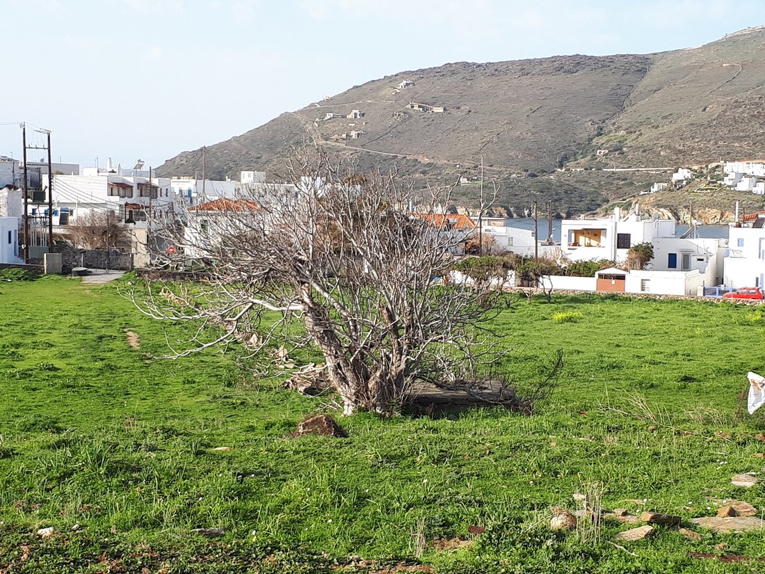 Land in Andros, Aegean, Griechenland 2 - 15423473
