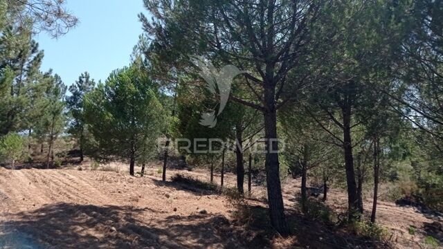 Farm Ranch in Corroios, Portugal 3 - 15096641