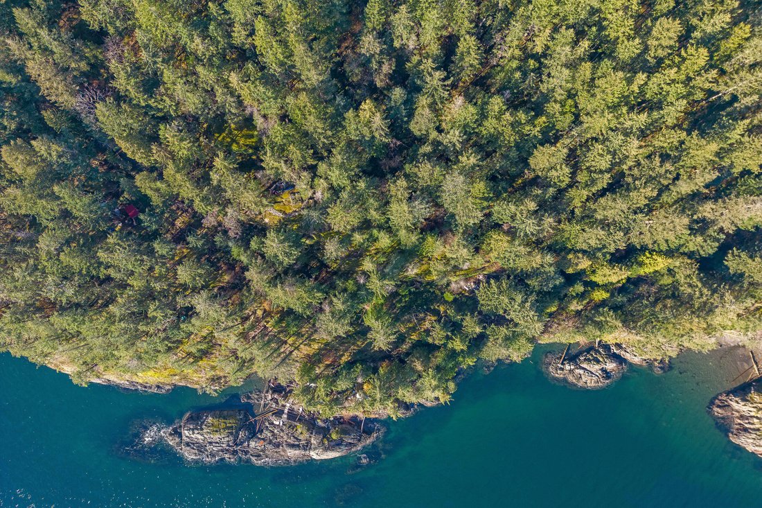 Bowen Island, British Columbia, Canada 3 - 15423501
