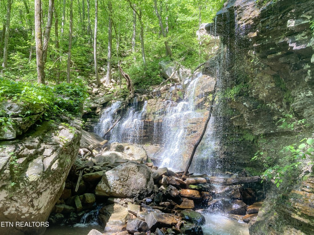 Pikeville, Tennessee, United States 2 - 15428858