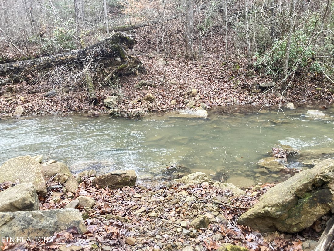 Pikeville, Tennessee, United States 5 - 15428858