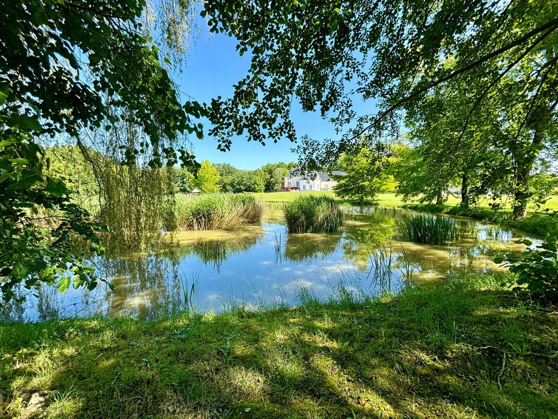 House in Saint-Cyran-du-Jambot, Centre-Val de Loire, France 4 - 14659972