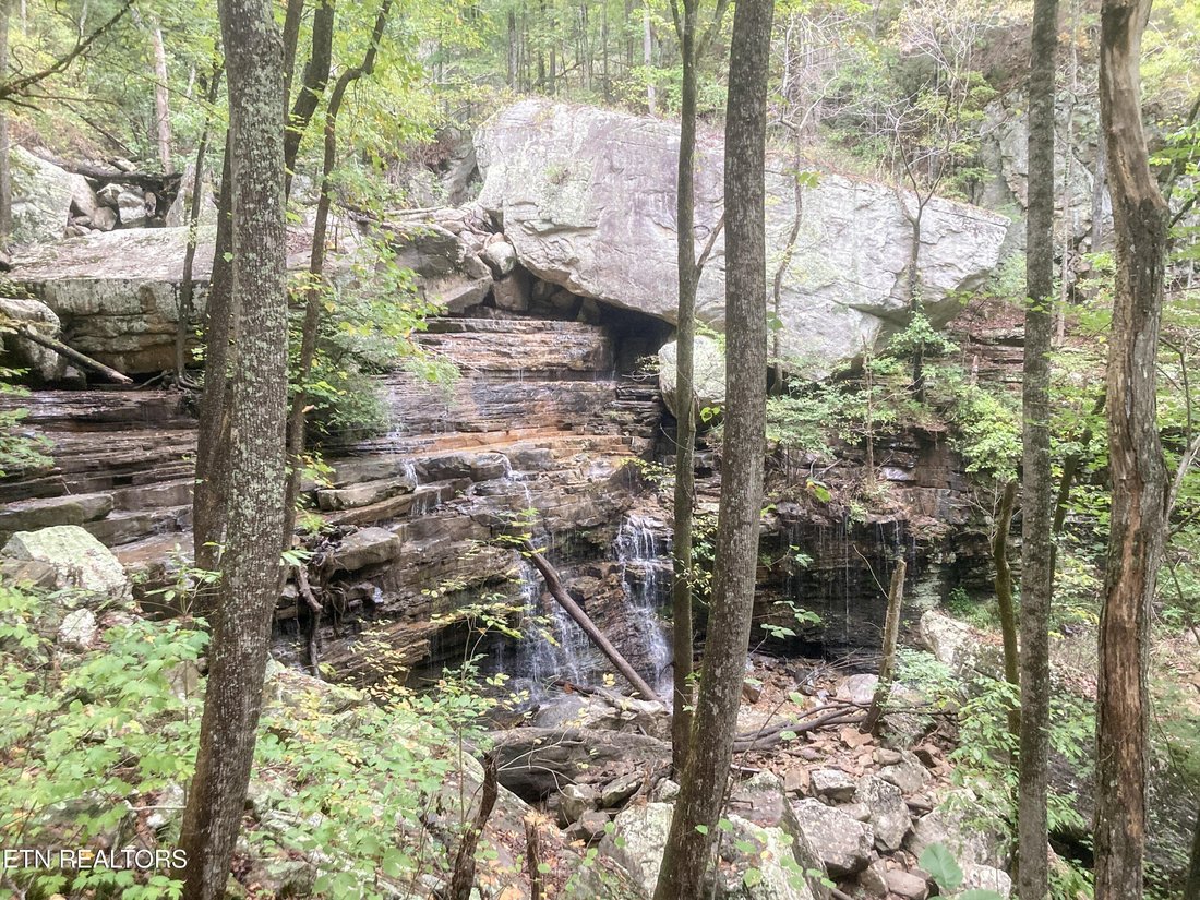 Pikeville, Tennessee, United States 3 - 15428858