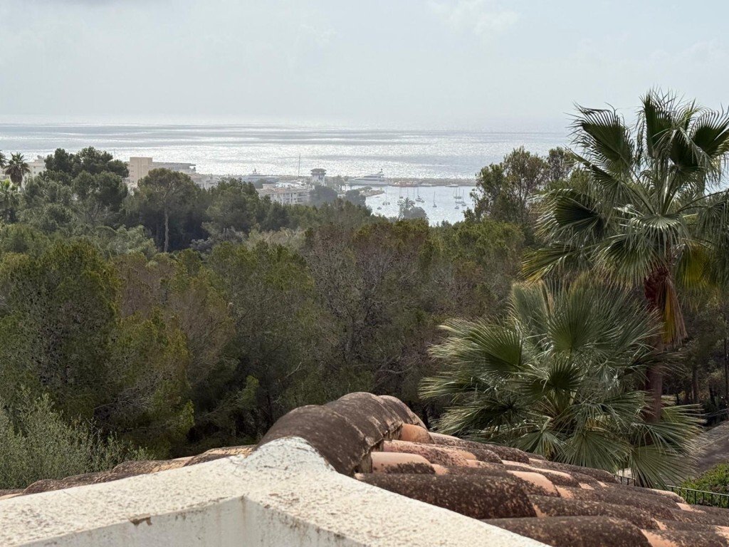 Villa in Costa d'en Blanes, Calvia, Balearic Islands 1 - 15426473