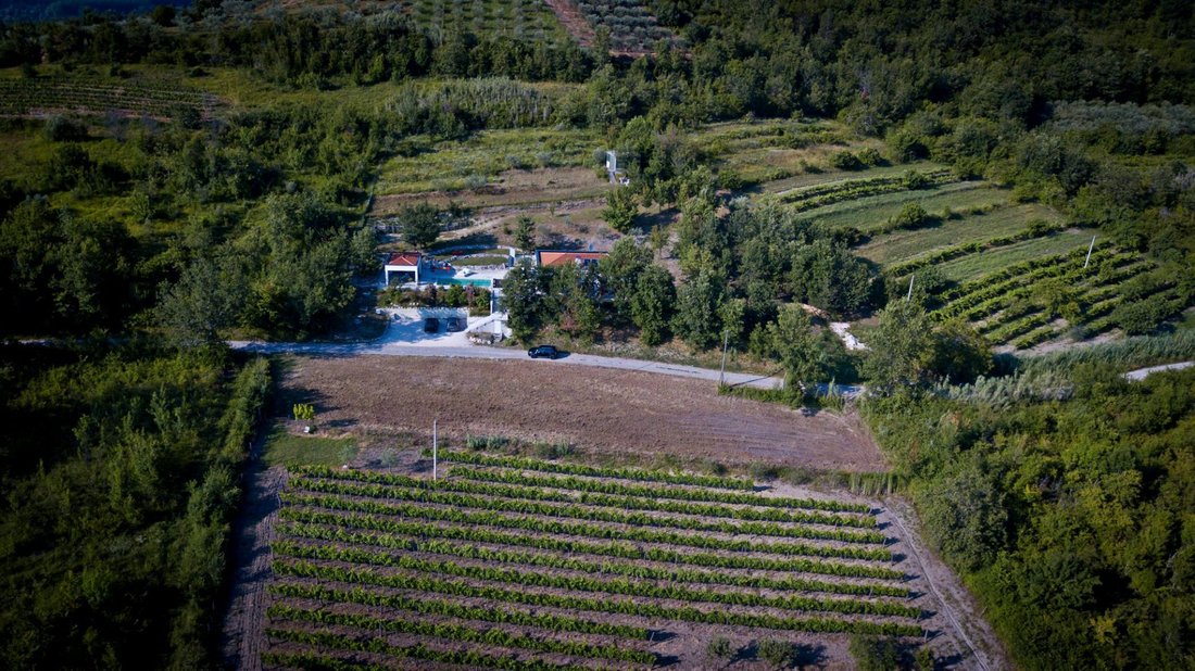 Villa in Opcina Motovun, Istria County, Croatia 5 - 15424332