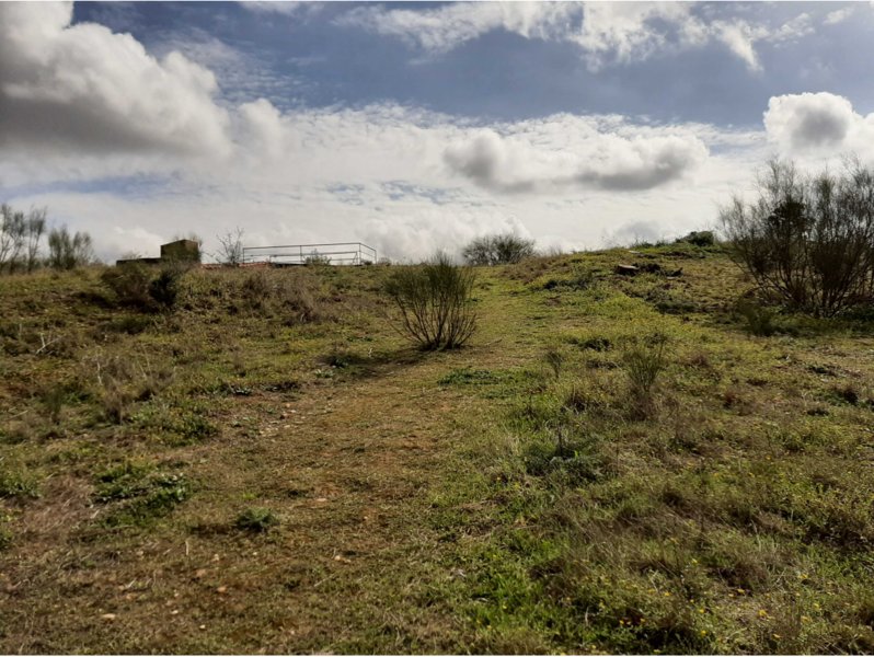 Land in Badajoz, Extremadura, Spain 4 - 15427988