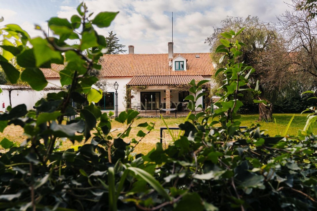 Estremoz (Santa Maria e Santo Andre), Évora District, Portugal 2 - 15428307