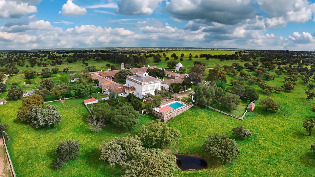 Farm Ranch in Brozas, Extremadura, Spain 1 - 13533409