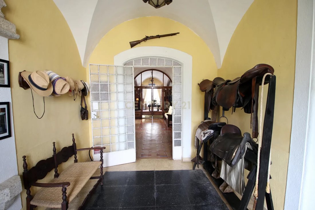 Farm Ranch in Brozas, Extremadura, Spain 3 - 13533409