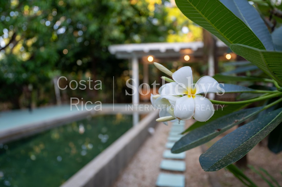 House in Nosara, Guanacaste Province, Costa Rica 4 - 15430323