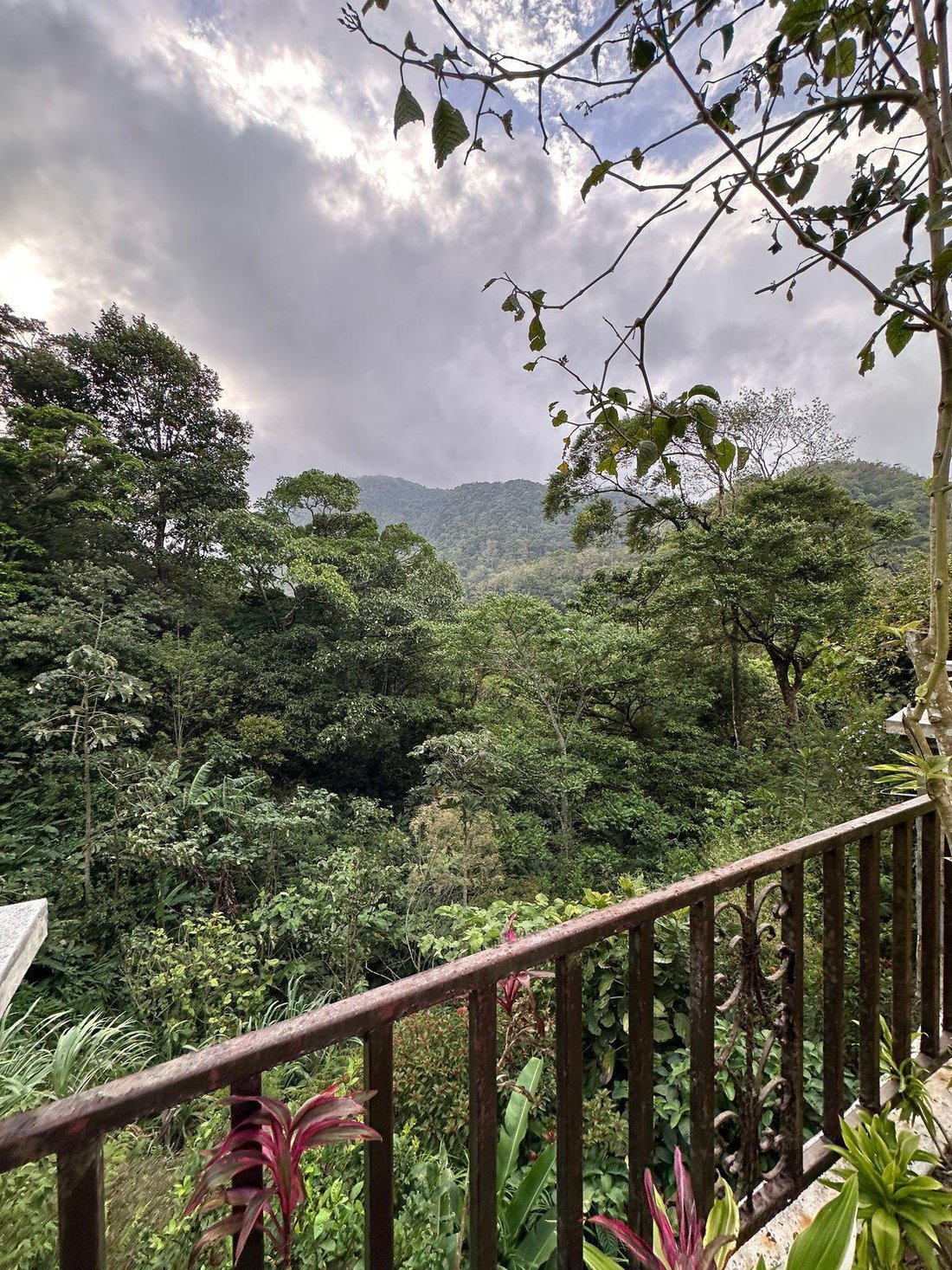 House in Anton Valley, Coclé Province, Panama 3 - 15201349
