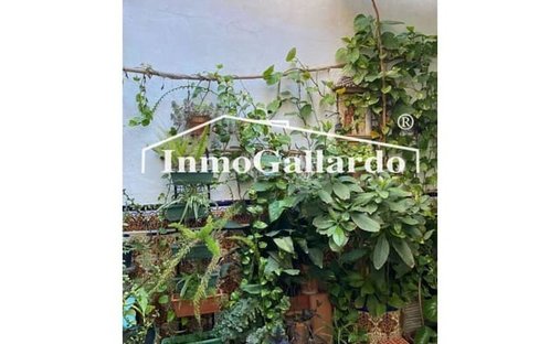 Villa in Centro, Malaga, Spanien 1