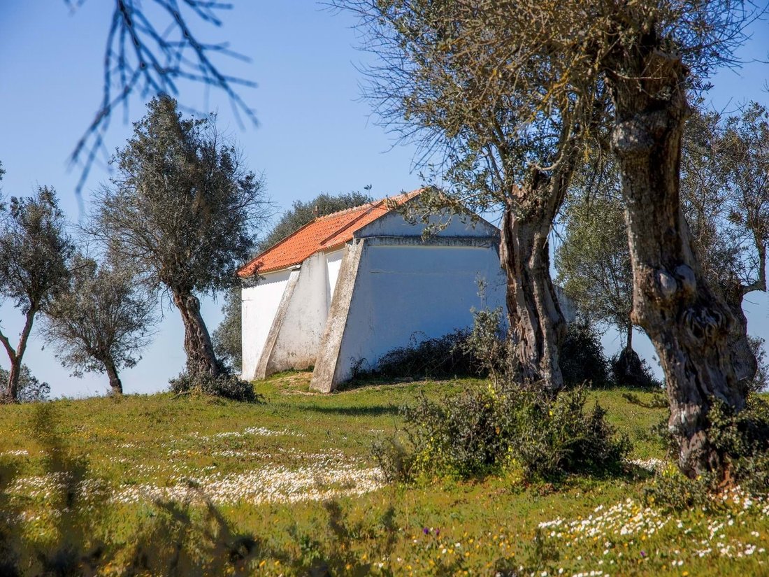 Farm Ranch in Alter do Chao, Portalegre District, Portugal 4 - 15431852