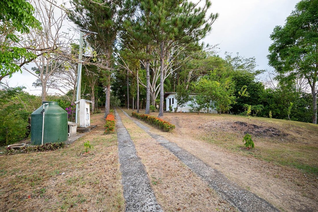 Estate in Sorá, Coclé Province, Panama 5 - 15244453