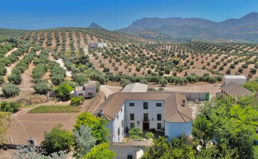 Country House in Rute, Andalusia, Spain 1