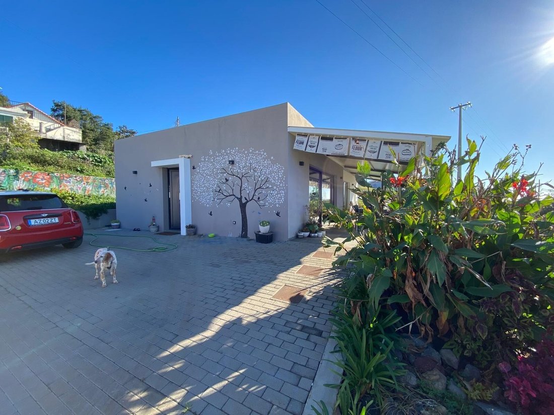 Villa in Estreito da Calheta, Autonome Region Madeira, Portugal 3 - 15378238