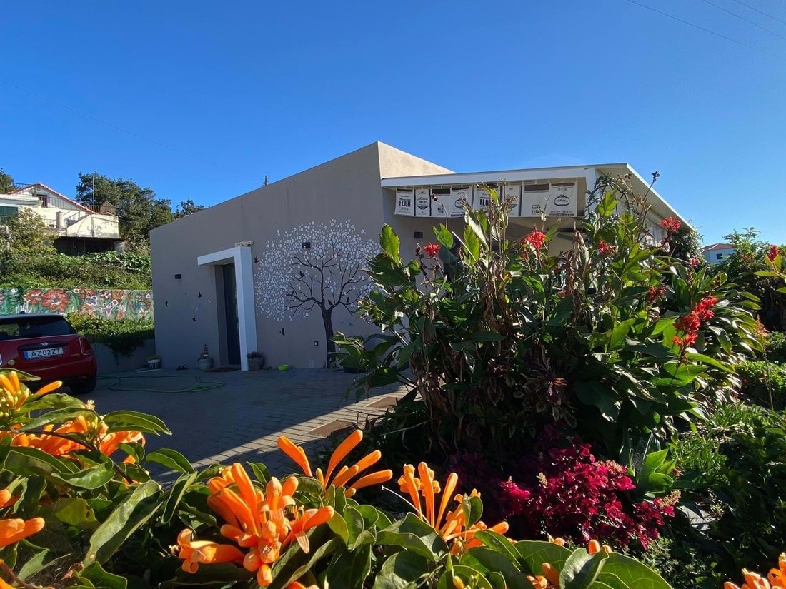 Villa in Estreito da Calheta, Autonome Region Madeira, Portugal 4 - 15378238