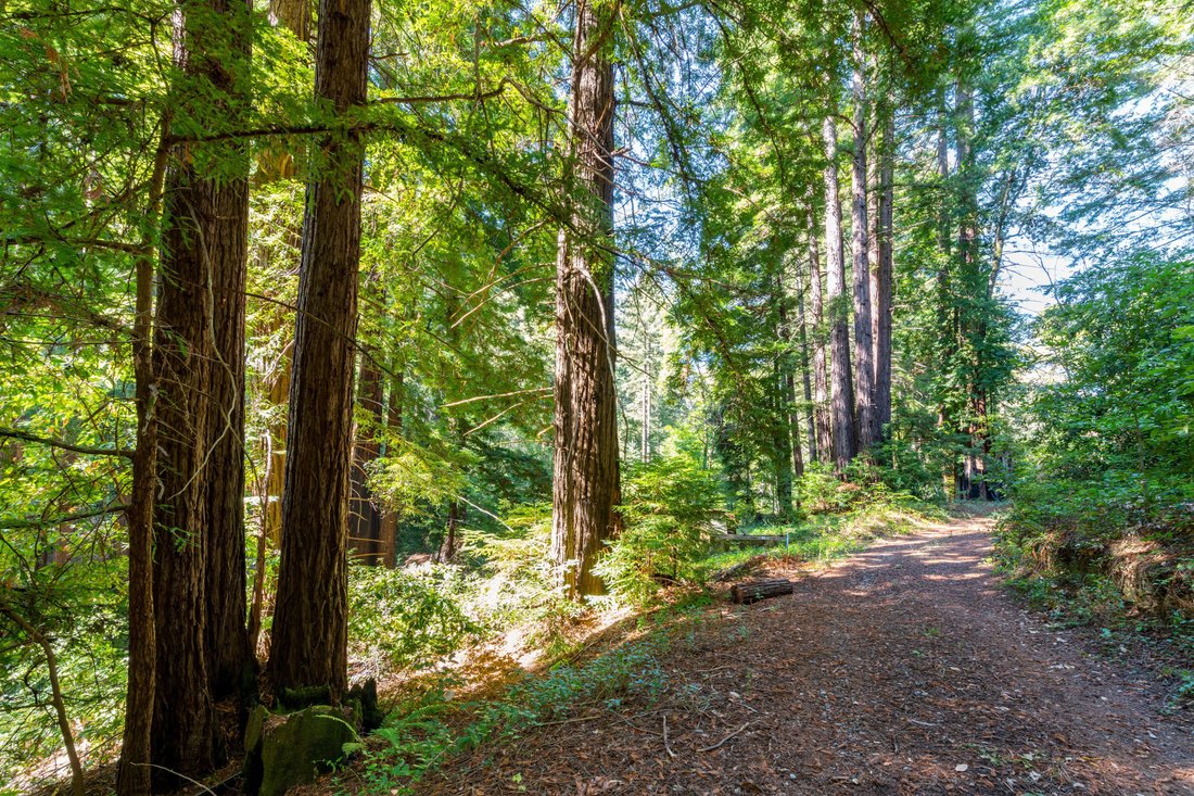 Land in Scotts Valley, California, United States 1 - 15432451
