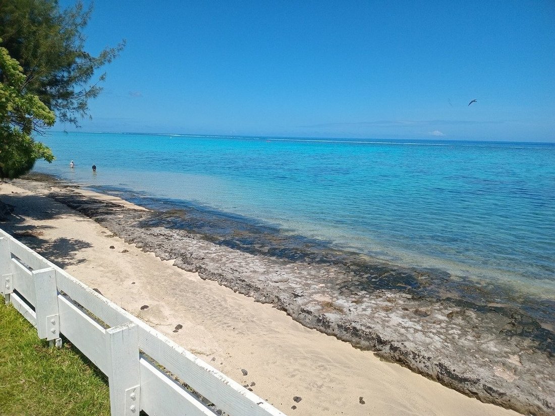 Land in Puna'auia, Windward Islands, French Polynesia 2 - 15410162