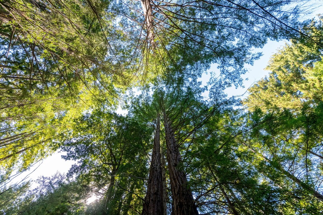 Land in Scotts Valley, California, United States 5 - 15432451