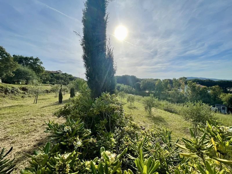 Villa in Capoliveri, Tuscany, Italy 3 - 15432299